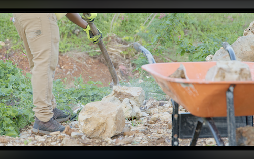 Close-up of dedicated volunteer in gloves using shovel to move stones into wheelbarrow amid grassy terrain – poignant emotional storytelling nonprofit video footage from Jamaica's Hurricane Melissa recovery